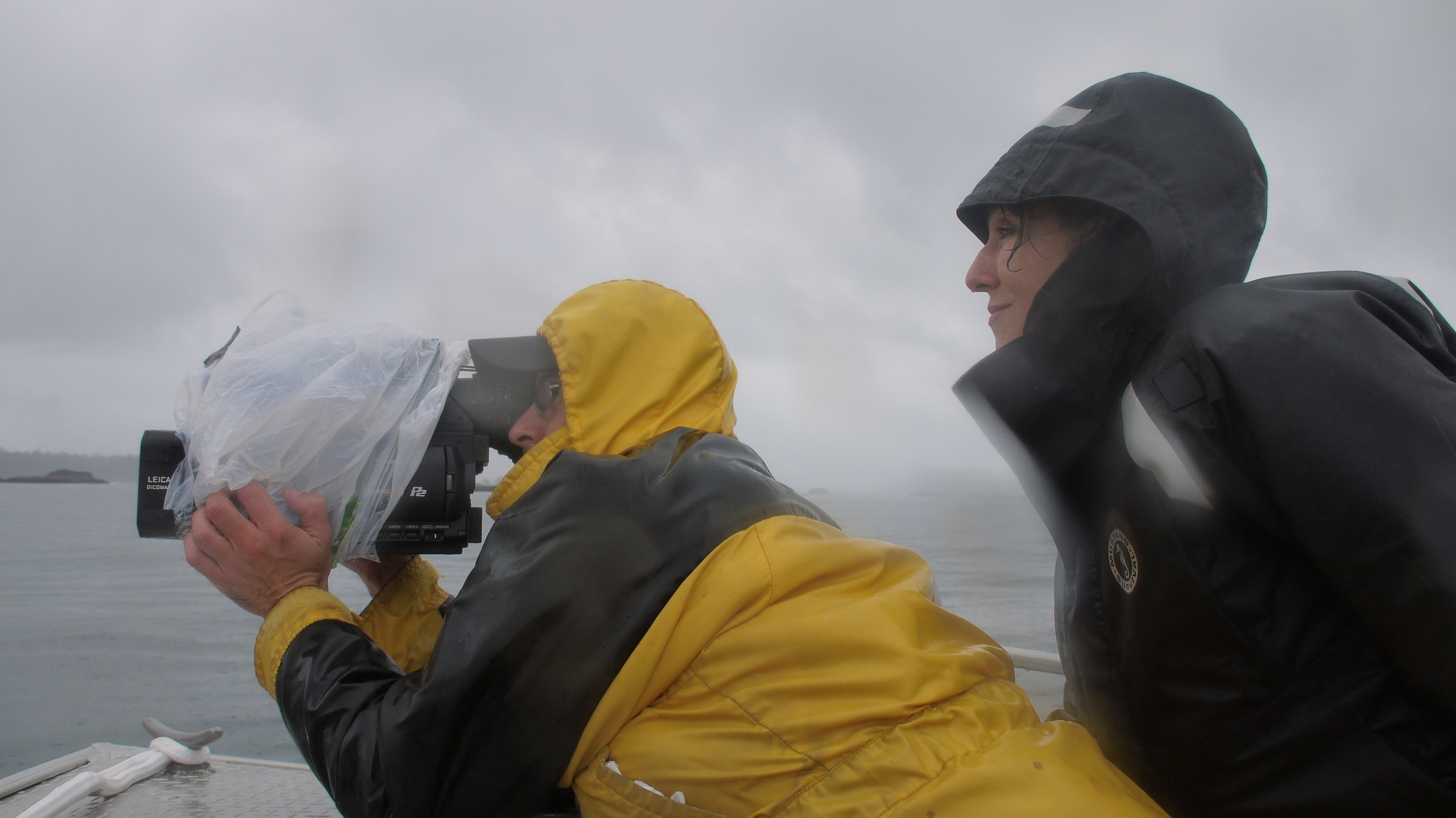 Blackfish Dogwoof Documentary (5).JPG