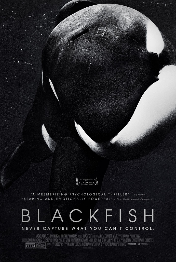 The Blackfish Effect: Seaworld Stock drops 30%