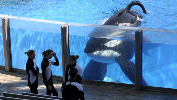 Millions support 'Blackfish' bill