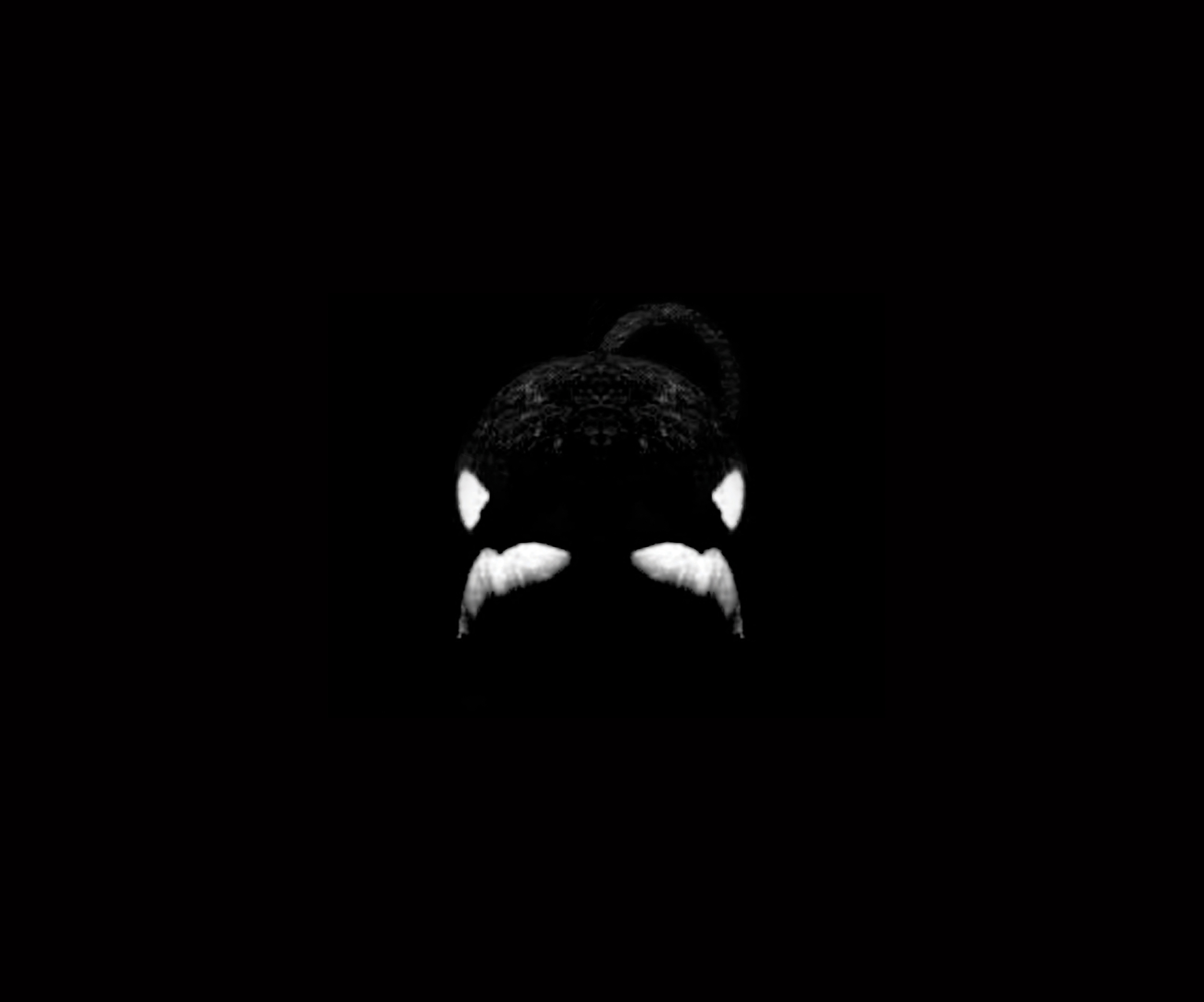Tilikum is seriously ill - says SeaWorld