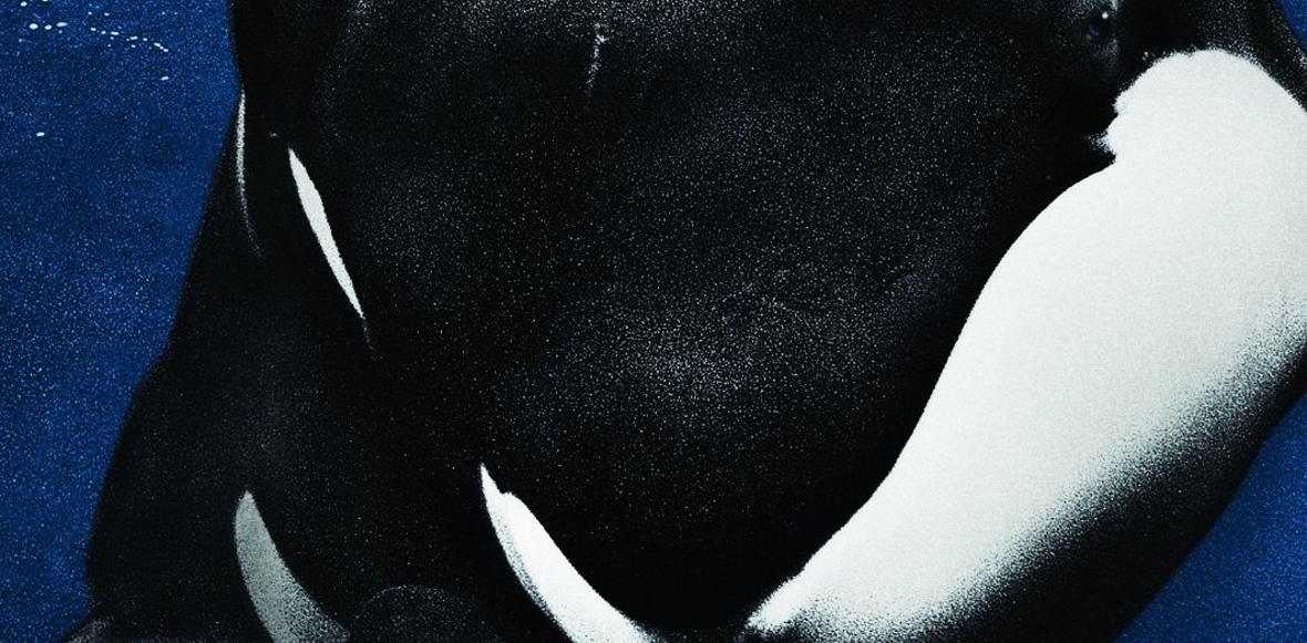 RIP Tilikum